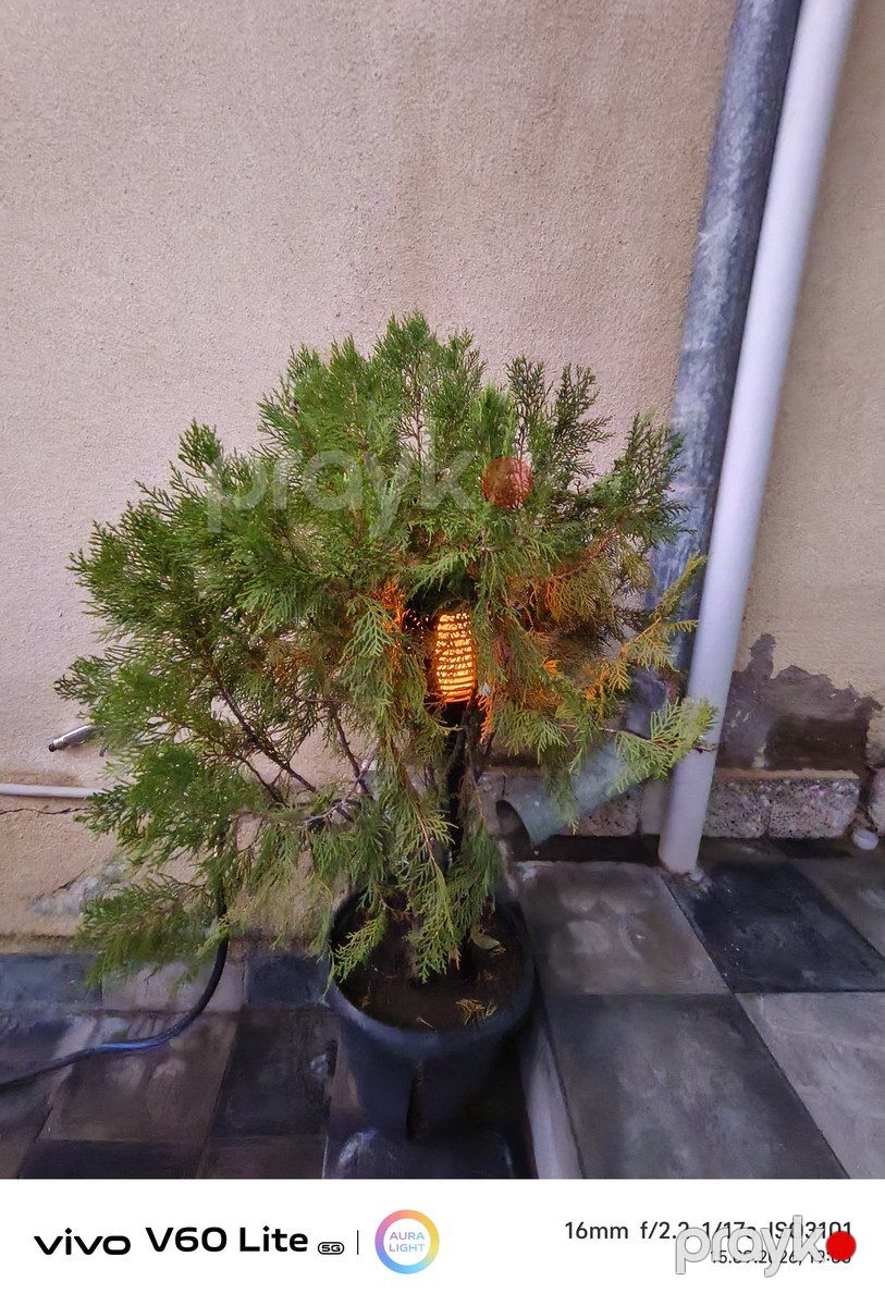 İcarəyə verilir 3 otaqlı həyət evi/bağ evi 90 m² — Ev, villa, Xırdalan (4)