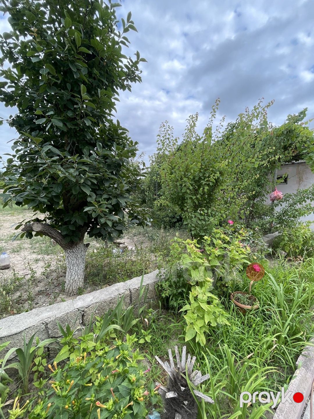 Satılır 5 otaqlı həyət evi/bağ evi 280 m² — Ev, villa, Sumqayıt (10)