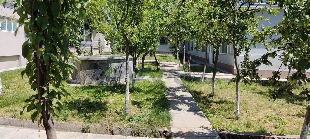 3 otaqlı Həyət evi Kirayə (günlük), Şəki — Ev, villa, Şəki (6)