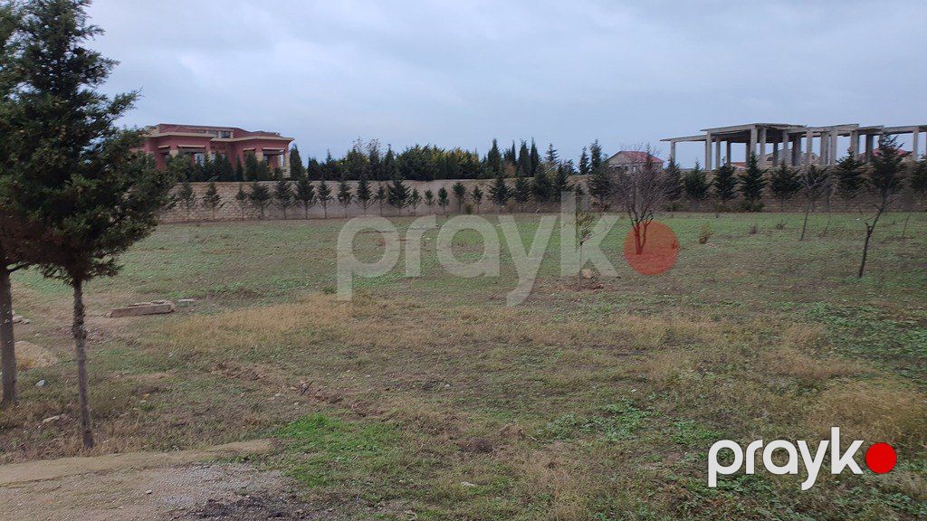 Satılır torpaq 59 sot — Torpaq, Bakı (3)