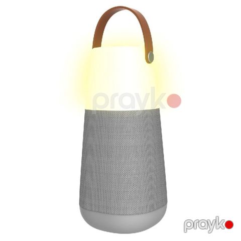ION Bright Max 360° Sound Speaker with Lighting &amp; Multi-Sync – 60W — Bakı