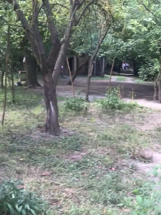 16 sot Torpaq Satılır, Göyçay — Torpaq, Göyçay (2)