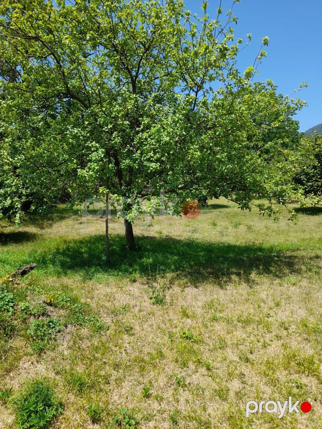 Kənd təsərrüfatı — Torpaq, Bakı (4)