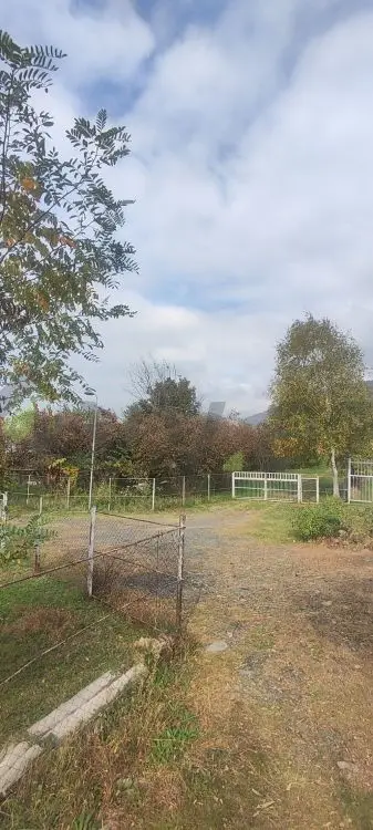 18 sot Torpaq Satılır, Balakən — Torpaq, Balakən (12)