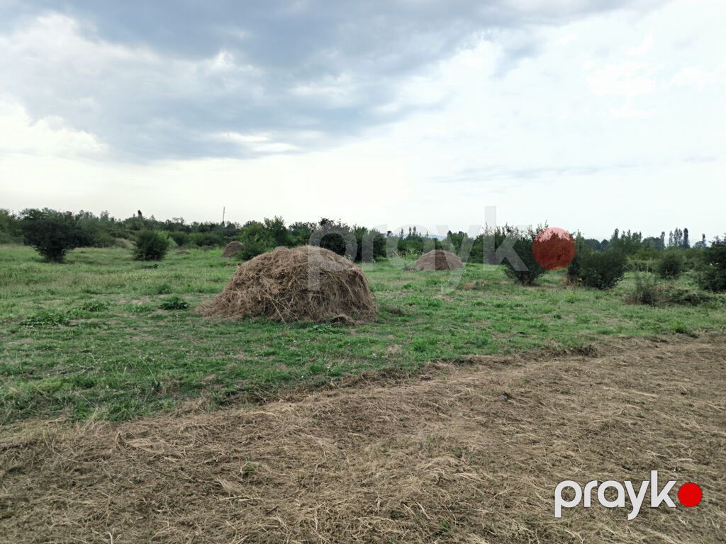250 sot, Biznes üçün, Mülkiyyətçi, Kupça (Çıxarış) — Torpaq, Qəbələ (6)