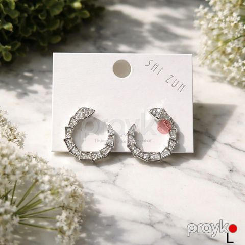 Qadınlar üçün sırğa ML_2859, paslanmaz polad, gümüşü — Bakı