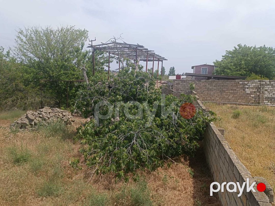 Satılır torpaq 12 sot — Torpaq, Bakı (6)