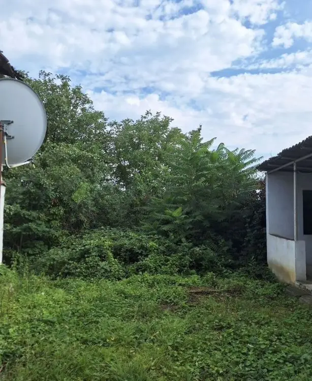 8 sot Torpaq Satılır, Qusar — Torpaq, Qusar (2)