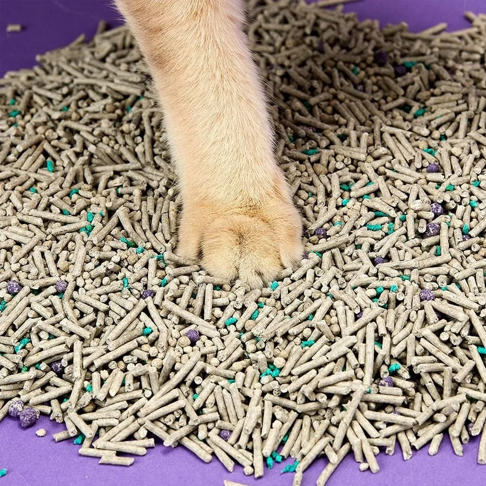 Petkit 5 in 1 Mixed Cat Litter — Mallar, Bakı (4)