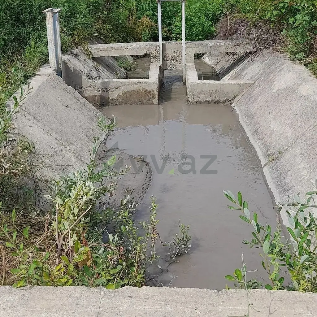 12 sot Torpaq Satılır, Qusar — Torpaq, Qusar (8)