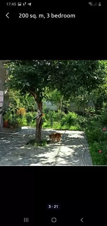 3 otaqlı Həyət evi Kirayə (günlük), Qax — Ev, villa, Qax (3)