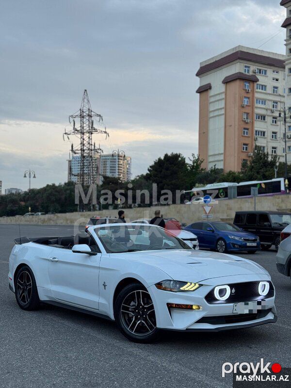Ford Mustang, 2020 il — Minik avtomobili icarəsi, Bakı (3)
