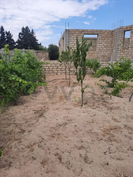 10 sot Torpaq Satılır, Novxanı, Abşeron — Torpaq (4)
