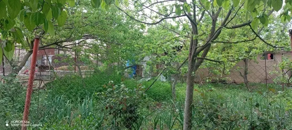 4 otaqlı Həyət evi Satılır, Şamaxı — Ev, villa, Şamaxı (10)