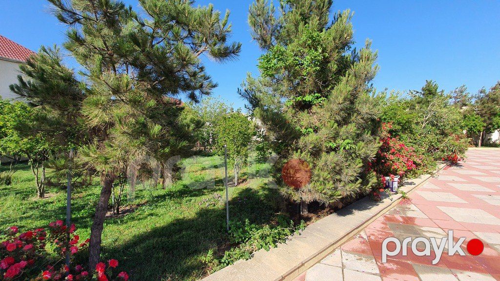 Satılır torpaq 38 sot — Torpaq, Bakı (4)