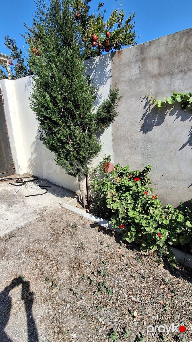 Həyət evi, Sumqayıt ş — Ev, villa, Sumqayıt (6)