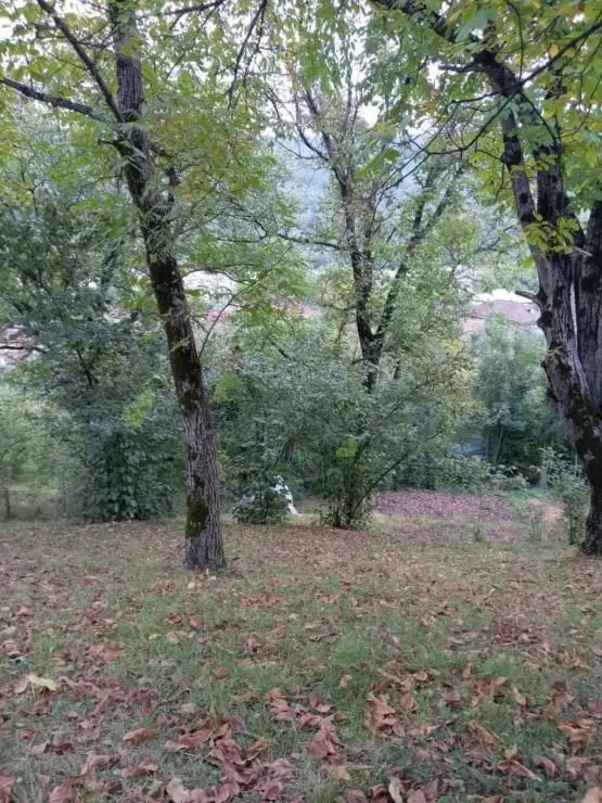 3 otaqlı Həyət evi Satılır, Quba — Quba