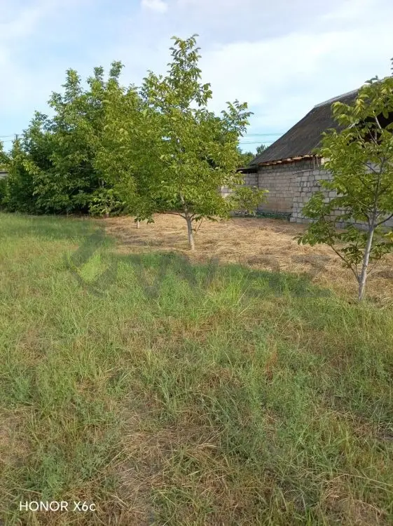 20 sot Torpaq Satılır, Ağdaş — Torpaq, Ağdaş (2)