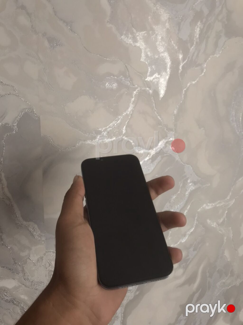 IPhone 13 Pro, Sierra Blue — Apple iPhone, Bakı (2)