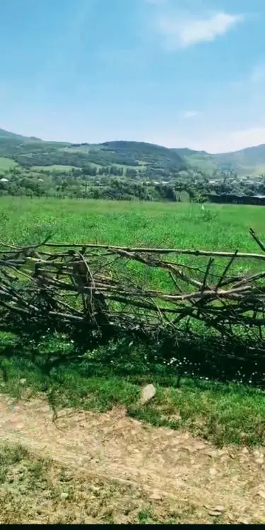 4 sot Torpaq Satılır, Qusar — Qusar