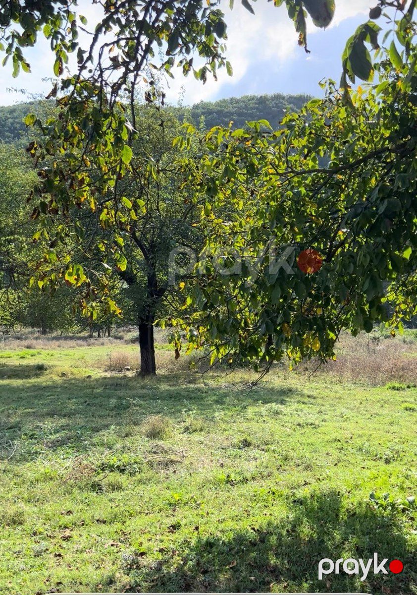 1050 sot torpaq sahəsi, Şamaxı r — Torpaq, Şamaxı (12)