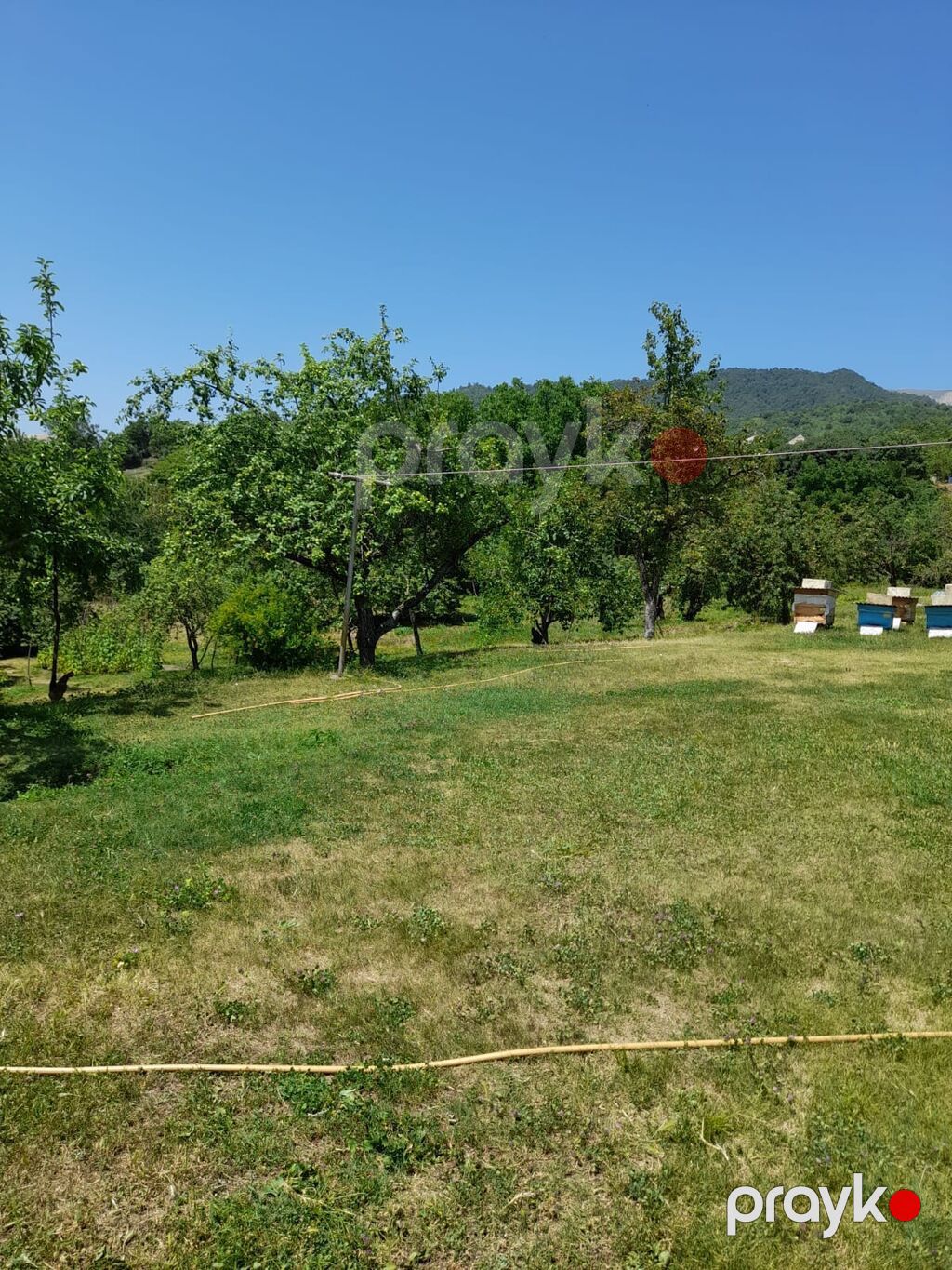 Kənd təsərrüfatı — Torpaq, Bakı (6)