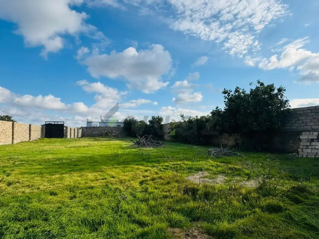 11 sot Torpaq Satılır, Buzovna, Xəzər, Bakı — Torpaq, Bakı (10)