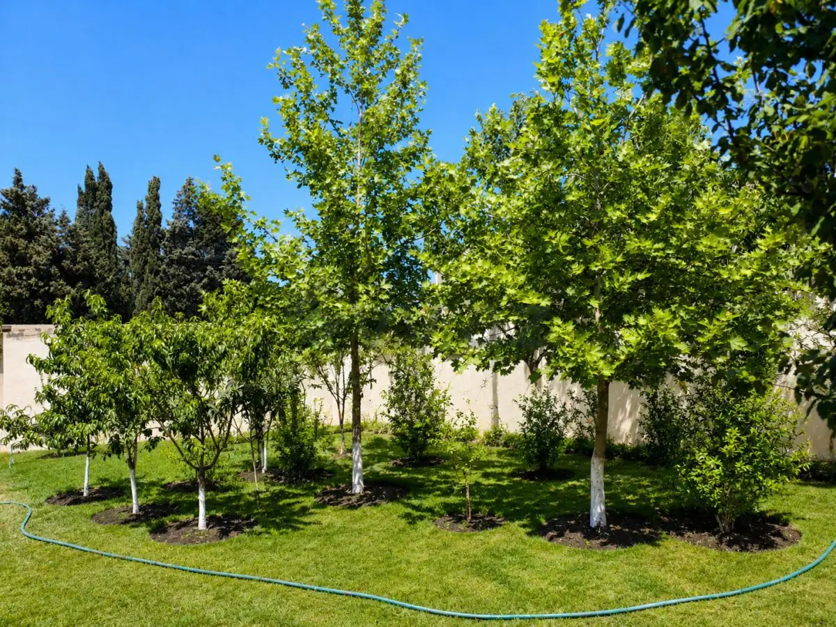 3 otaqlı Həyət evi Satılır, Pirşağı qəs., Sabunçu, Bakı — Ev, villa, Bakı (2)