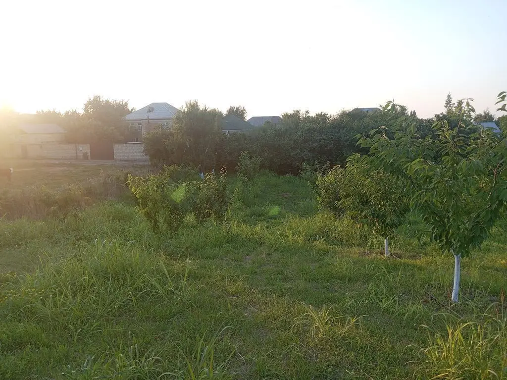 10 sot Torpaq Satılır, Quba — Torpaq, Quba (6)