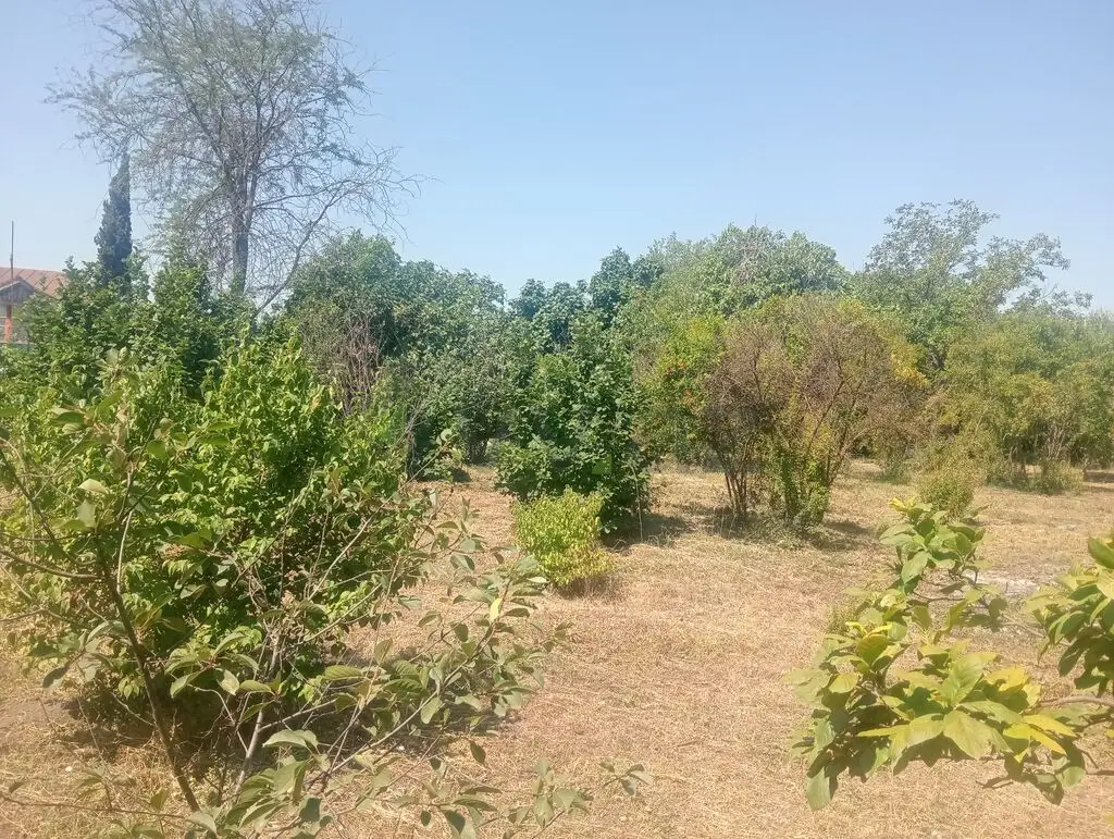 10 sot Torpaq Satılır, Bərdə — Torpaq, Bərdə (2)