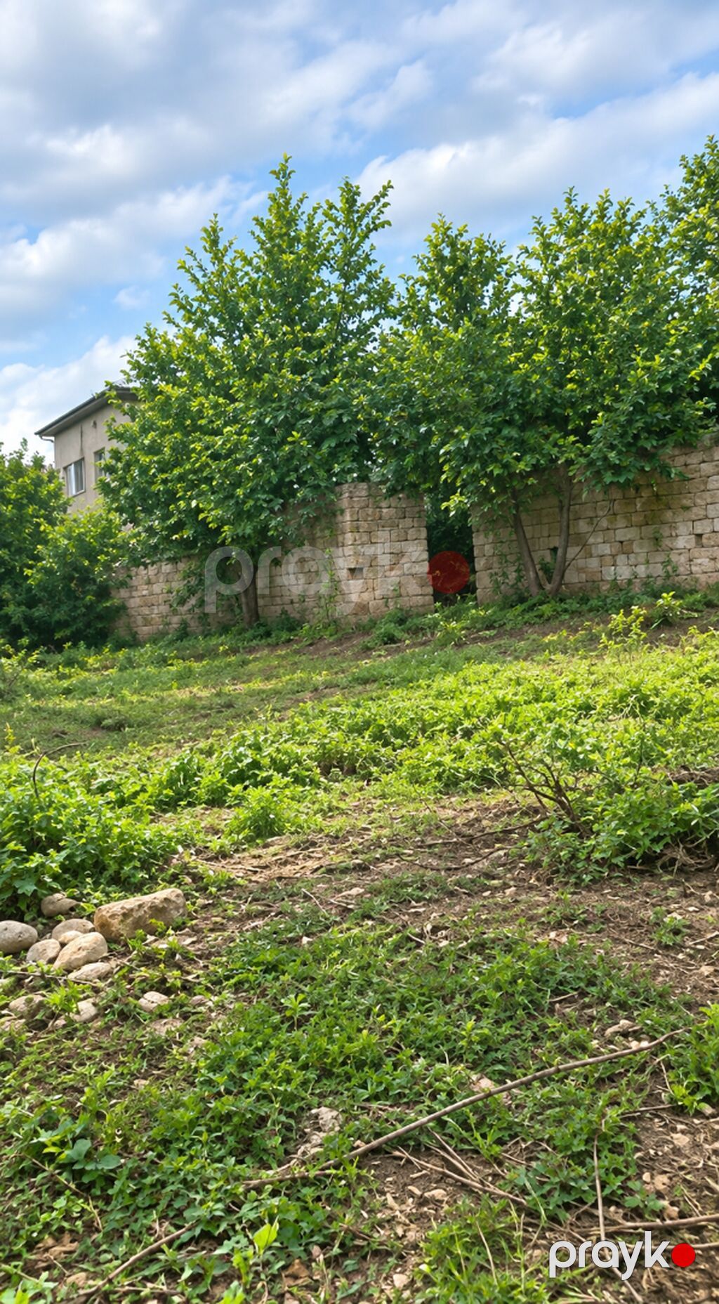 9 sot, Tikinti, Mülkiyyətçi, Kupça (Çıxarış) — Torpaq, İsmayıllı (2)
