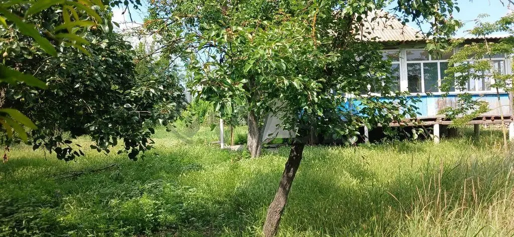 3 otaqlı Həyət evi Satılır, Ucar — Ev, villa, Ucar (12)