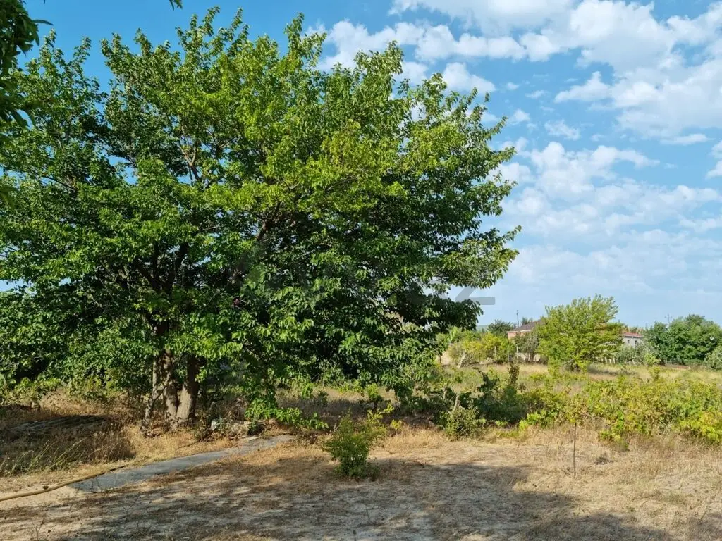 34 sot Torpaq Satılır, Qurd dərəsi, Sumqayıt — Torpaq, Sumqayıt (9)