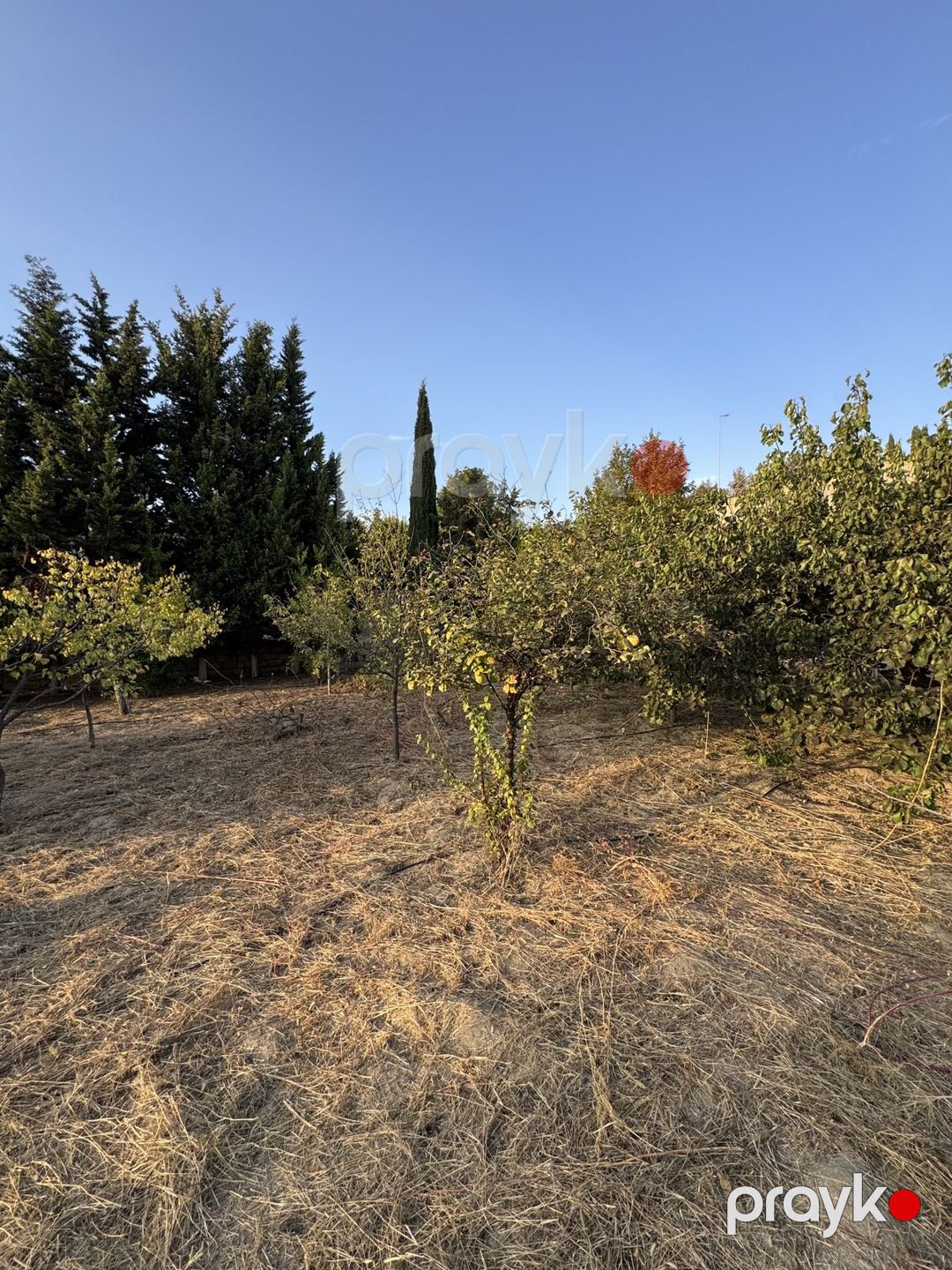 Satılır torpaq 2 sot — Torpaq, Bakı (3)