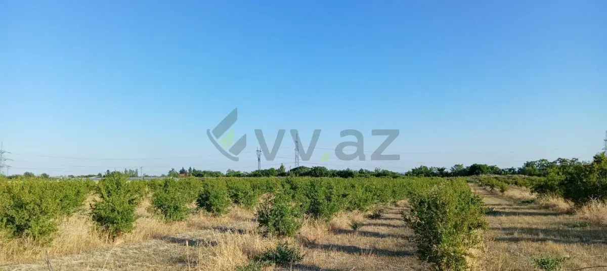 200 sot Torpaq Satılır, Göyçay — Torpaq, Göyçay (5)