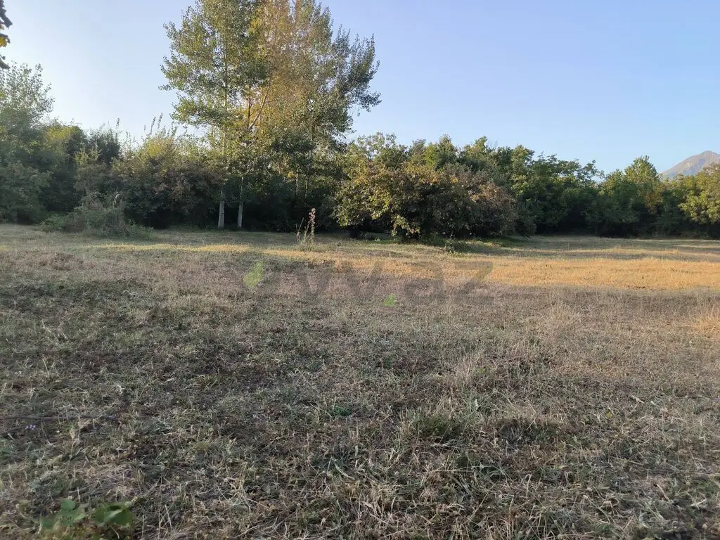 21 sot Torpaq Satılır, Qəbələ — Torpaq, Qəbələ (10)