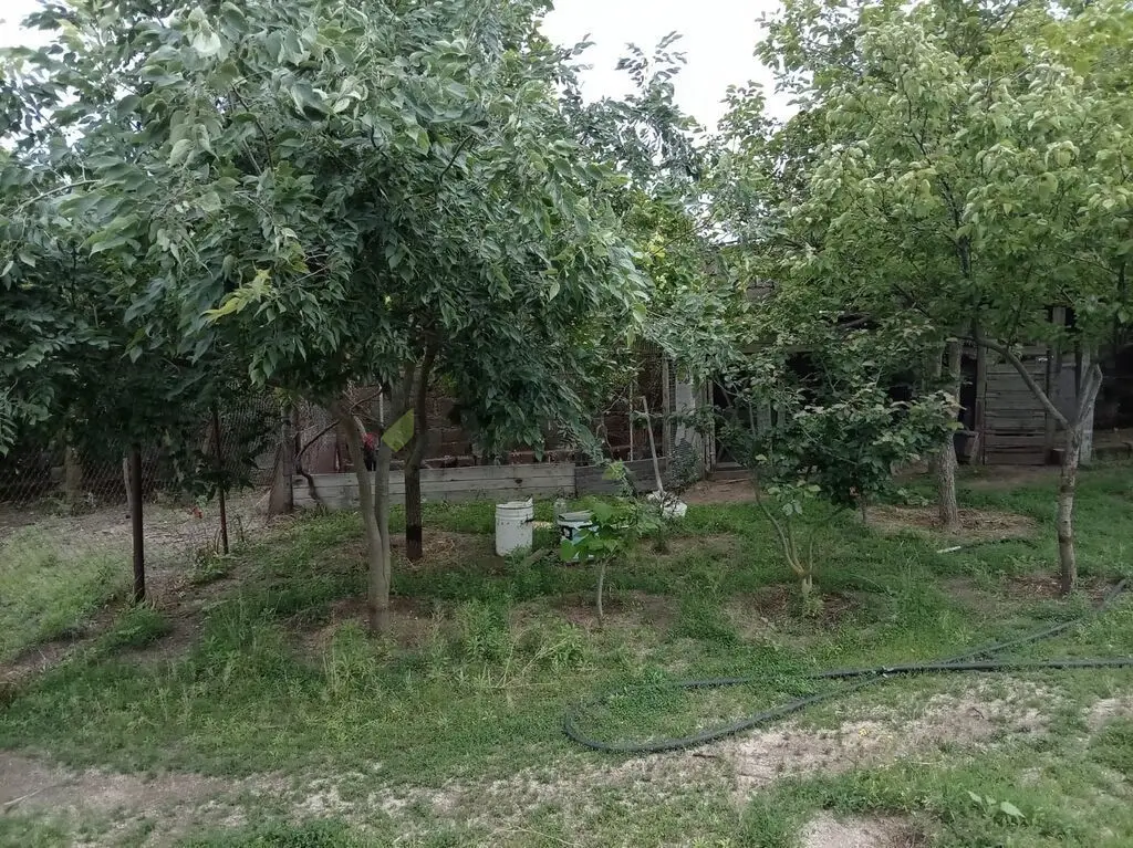 5 sot Torpaq Satılır, Novxanı, Abşeron — Torpaq (2)