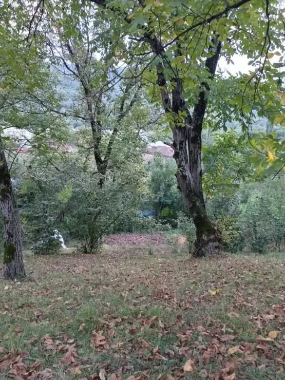 3 otaqlı Həyət evi Satılır, Quba — Ev, villa, Quba (7)