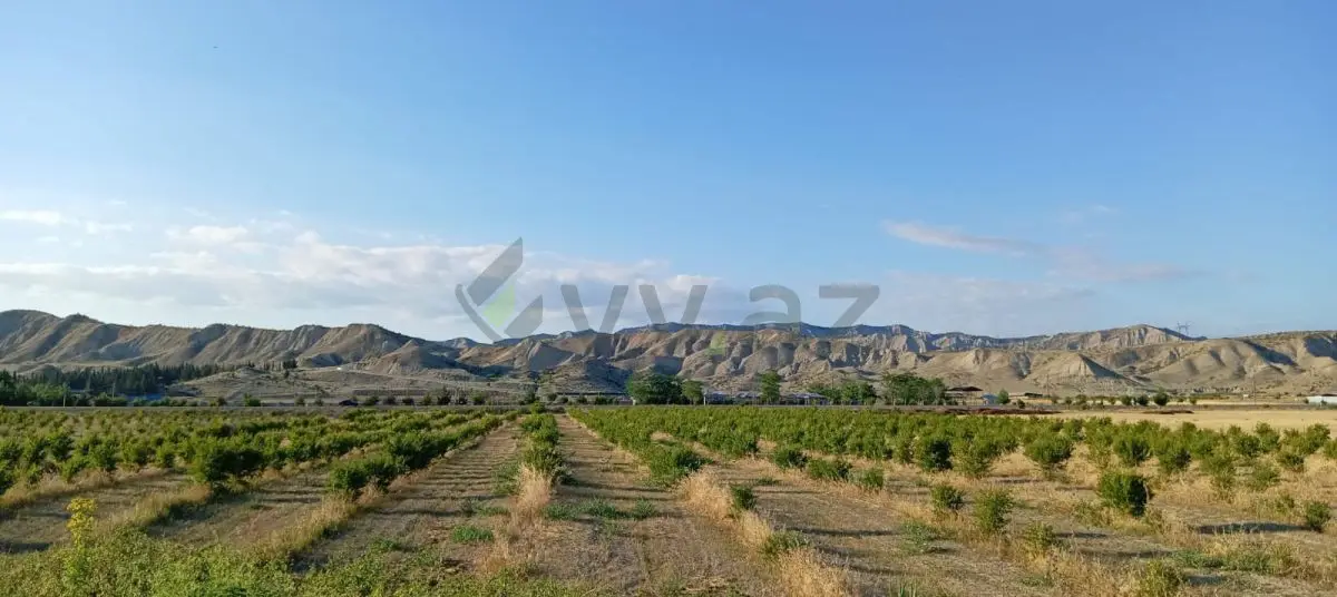 200 sot Torpaq Satılır, Göyçay — Torpaq, Göyçay (11)