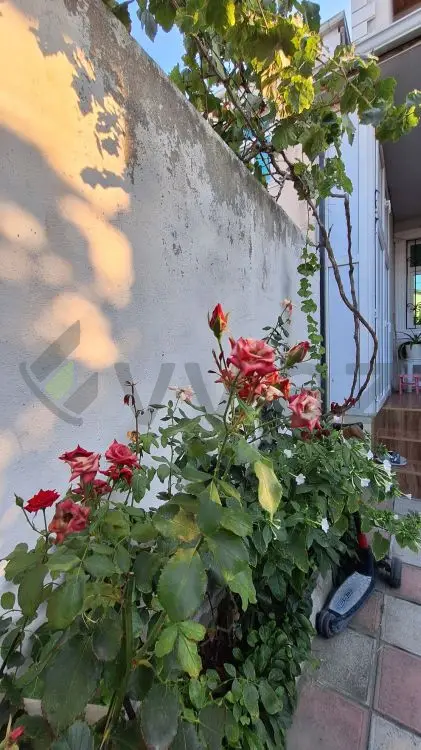 4 otaqlı Həyət evi Satılır, Masazır, Abşeron — Ev, villa (4)