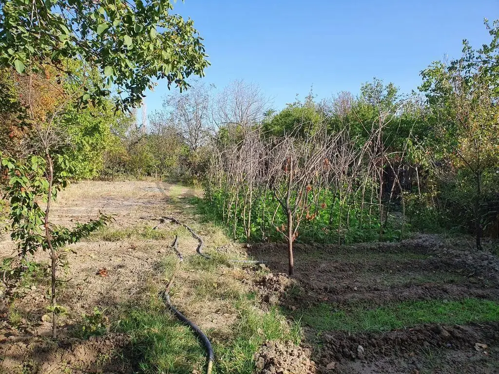6 sot Torpaq Satılır, Mingəçevir — Torpaq, Mingəçevir (3)