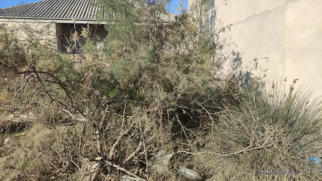 2.5 sot Torpaq Satılır, Saray, Abşeron — Torpaq (7)