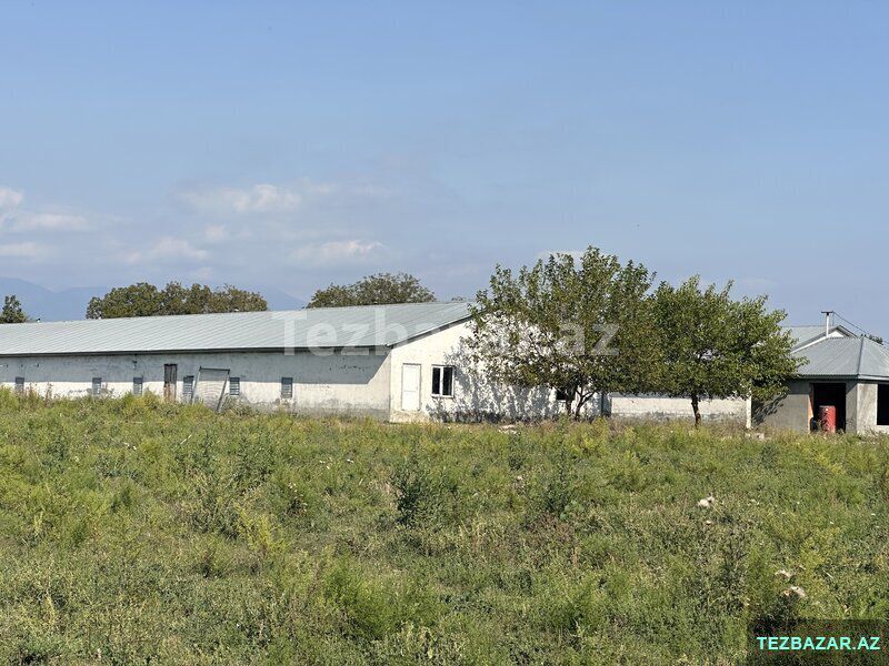 Oğuzda Ferma — Ofis, Bakı (2)
