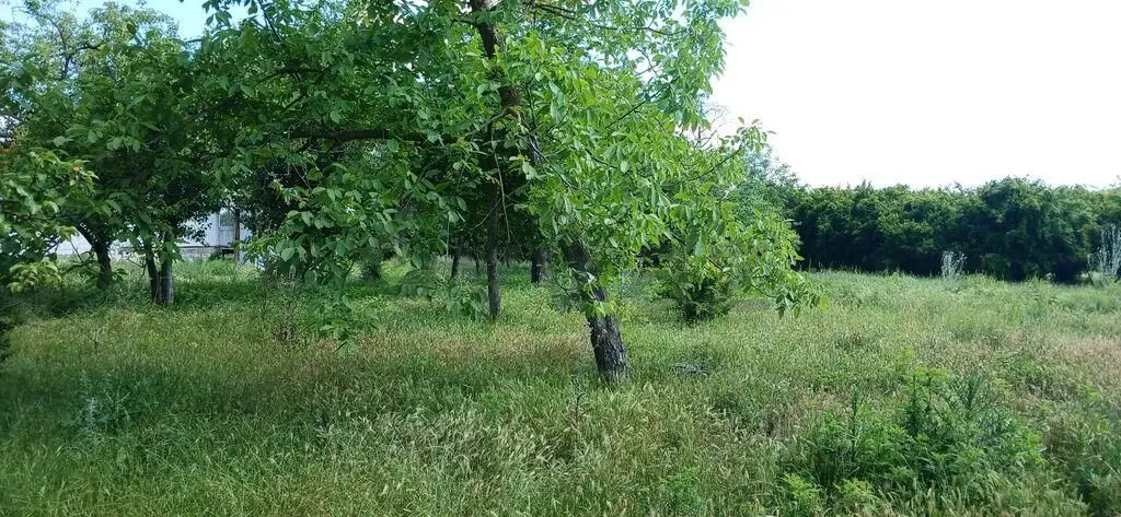 3 otaqlı Həyət evi Satılır, Ucar — Ev, villa, Ucar (9)