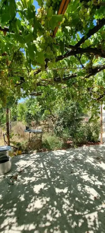 3 otaqlı Həyət evi Satılır, Buzovna, Xəzər, Bakı — Ev, villa, Bakı (10)
