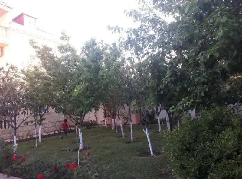 4 otaqlı Həyət evi Kirayə, Novxanı, Abşeron — Ev, villa (2)