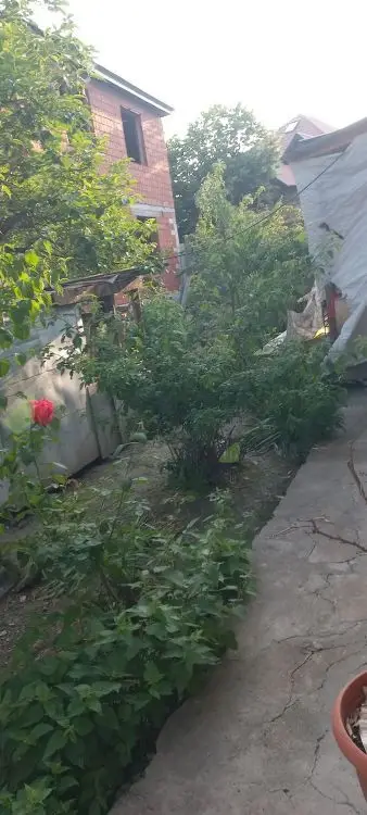 2 otaqlı Həyət evi Satılır, Şəki — Ev, villa, Şəki (11)