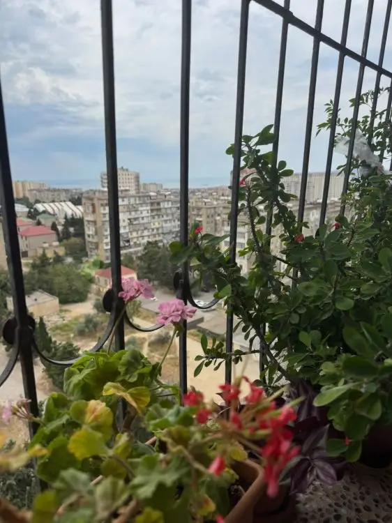 3 otaqlı mənzil Yeni tikili Satılır, Əhmədli, Xətai, Bakı — Mənzil, Bakı (8)