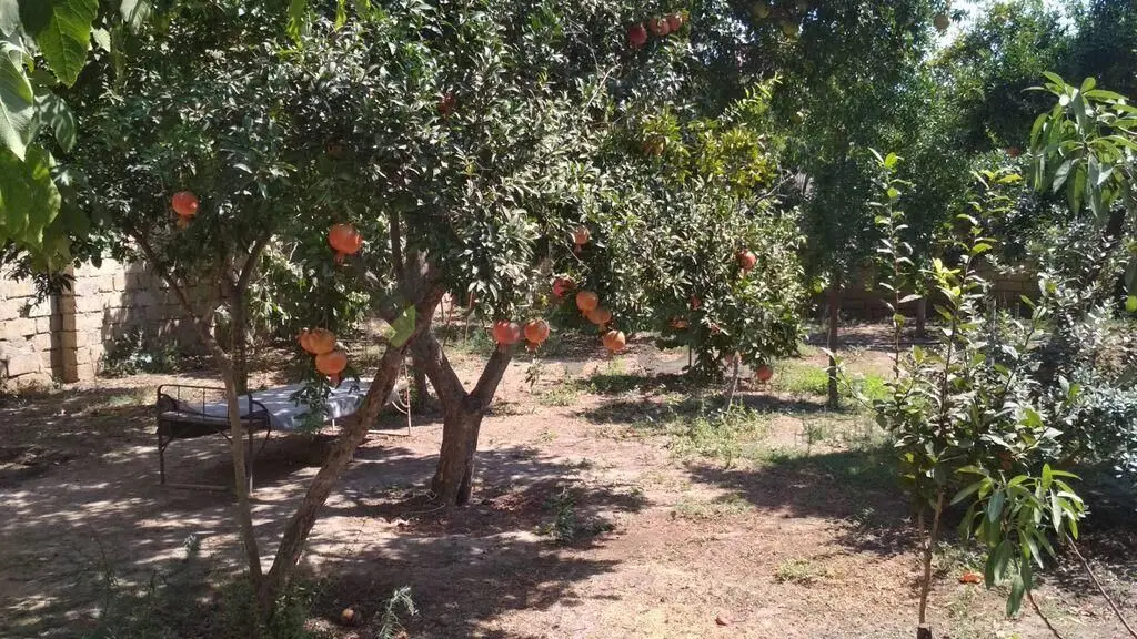 3 sot Torpaq Satılır, Xırdalan — Xırdalan