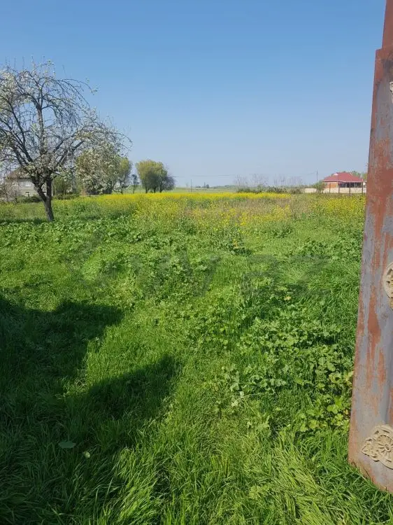 4 otaqlı Həyət evi Satılır, Masallı — Ev, villa, Masallı (11)